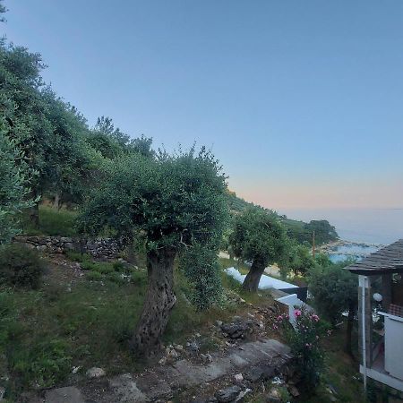 Dionysos Hotel Скала-Потамиас Экстерьер фото